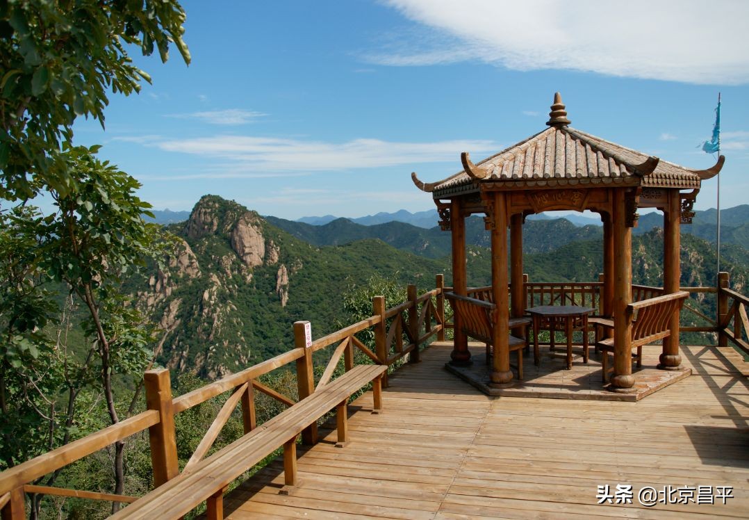 约起来！大岭沟猕猴桃谷风景区4月1日开园迎客