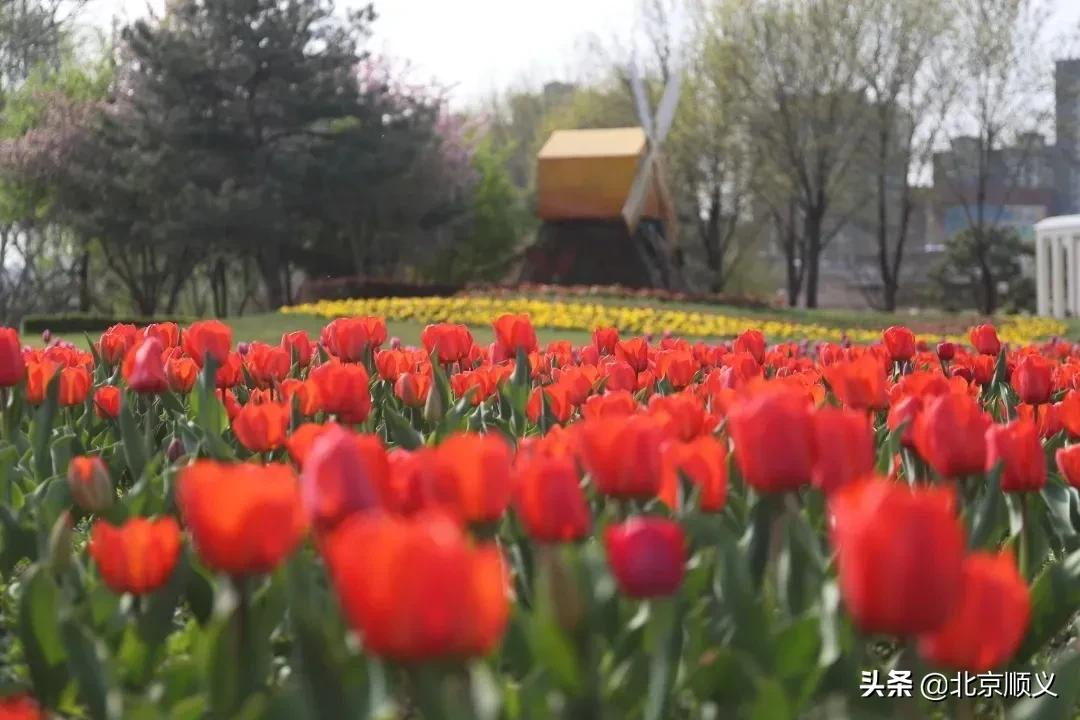 【创城有我】创城画卷，城优景美~