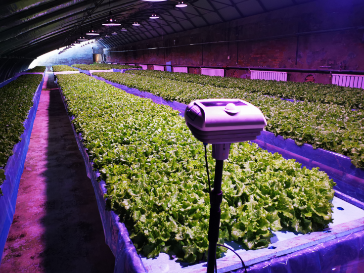 作物补光智能控制设备