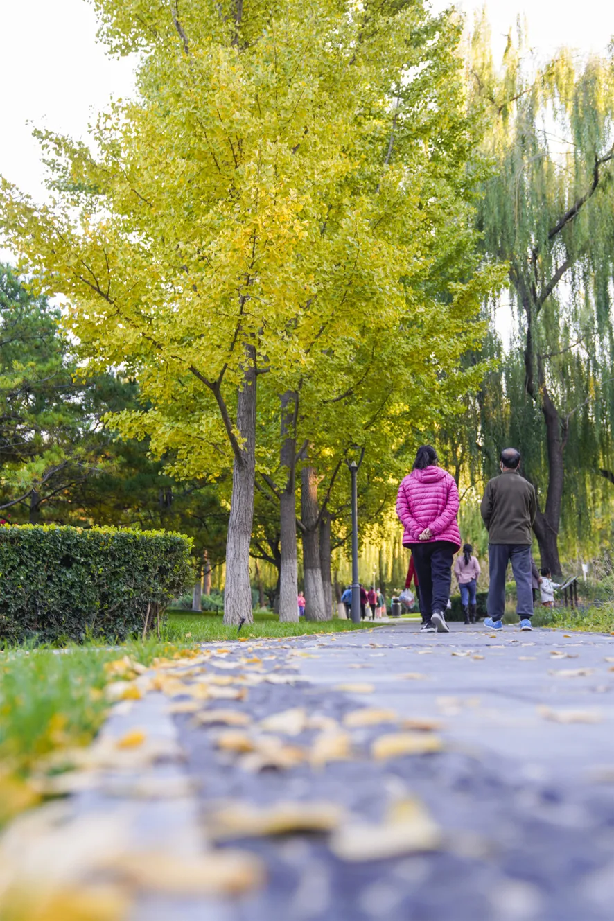 多图实拍！地坛园外园重装开园，打造全龄友好社区公园