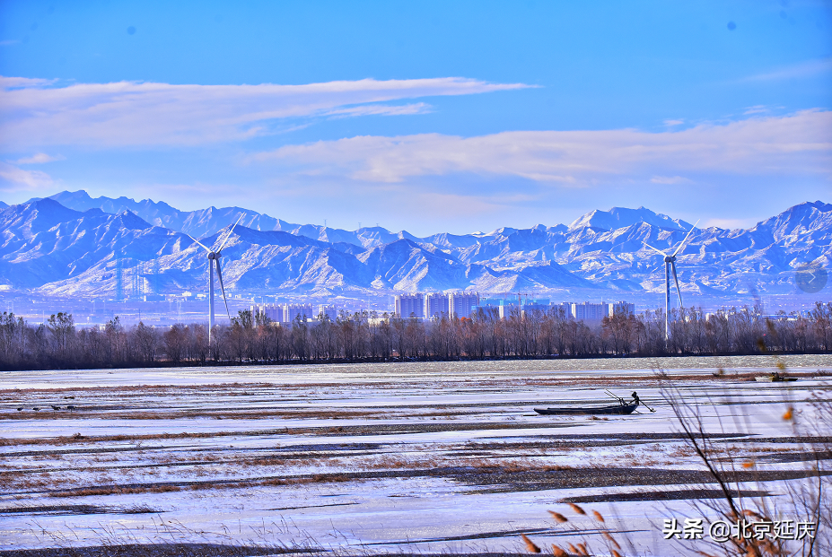 静谧清幽，生机勃勃~最美冬奥城延庆尽显冬日生态之美~