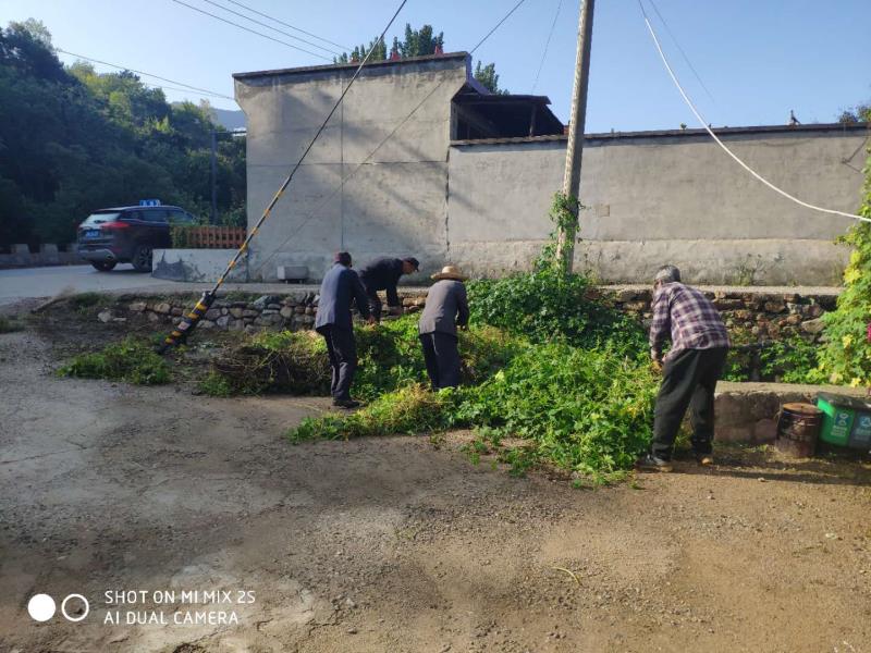 喜迎双节，爱卫同行 密云区大城子镇开展爱国卫生活动