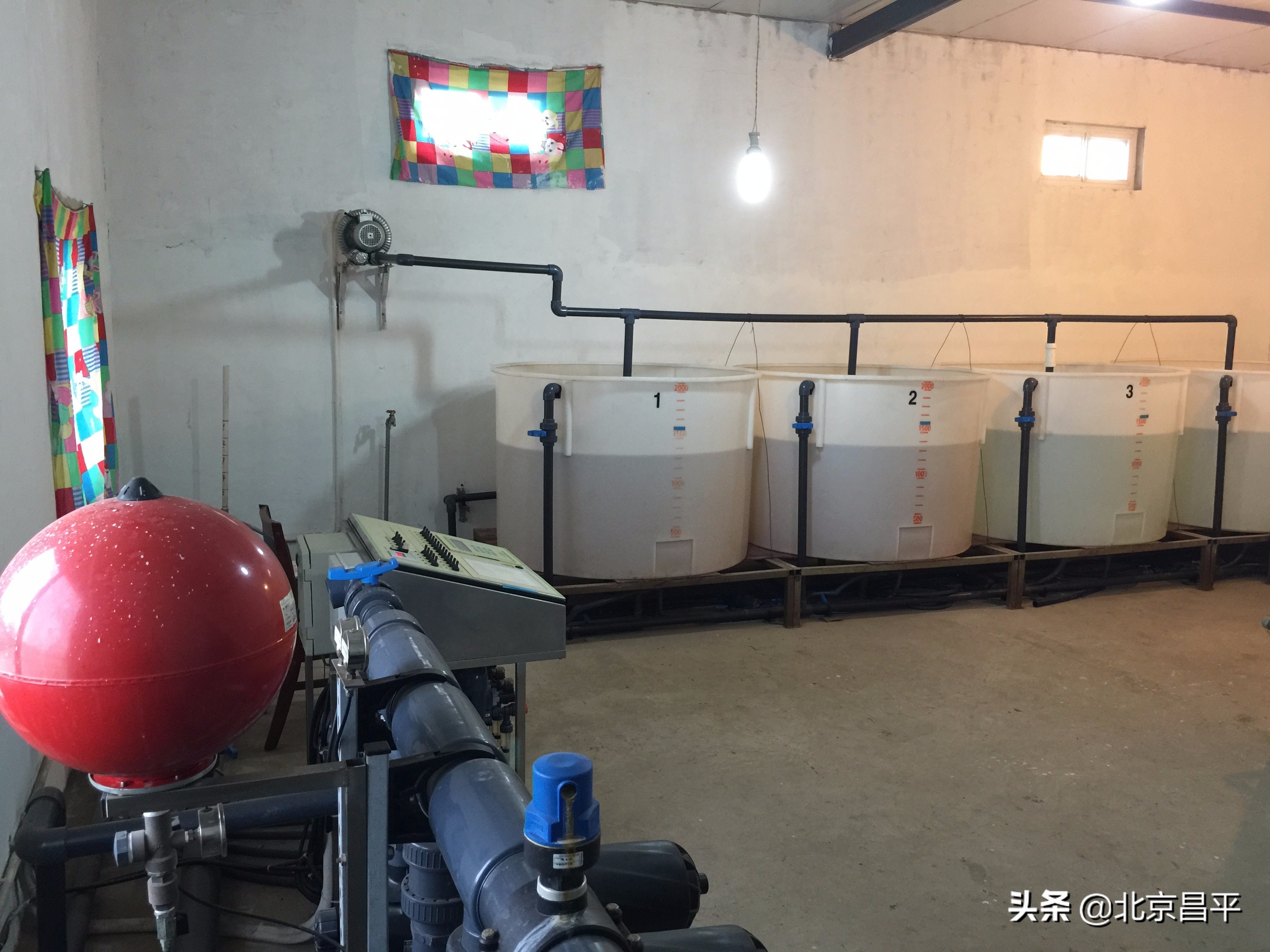 路河创新工作室：勇做农业高质量发展“急先锋”