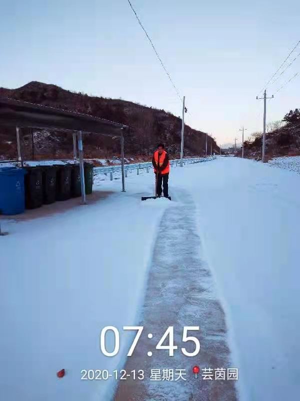 大雪过后，太师屯镇风景美如画