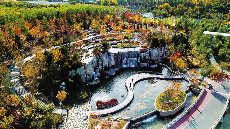 秋韵美景醉朝阳，绚丽多彩惹人爱