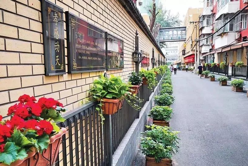 点开，带你看朝阳这五年