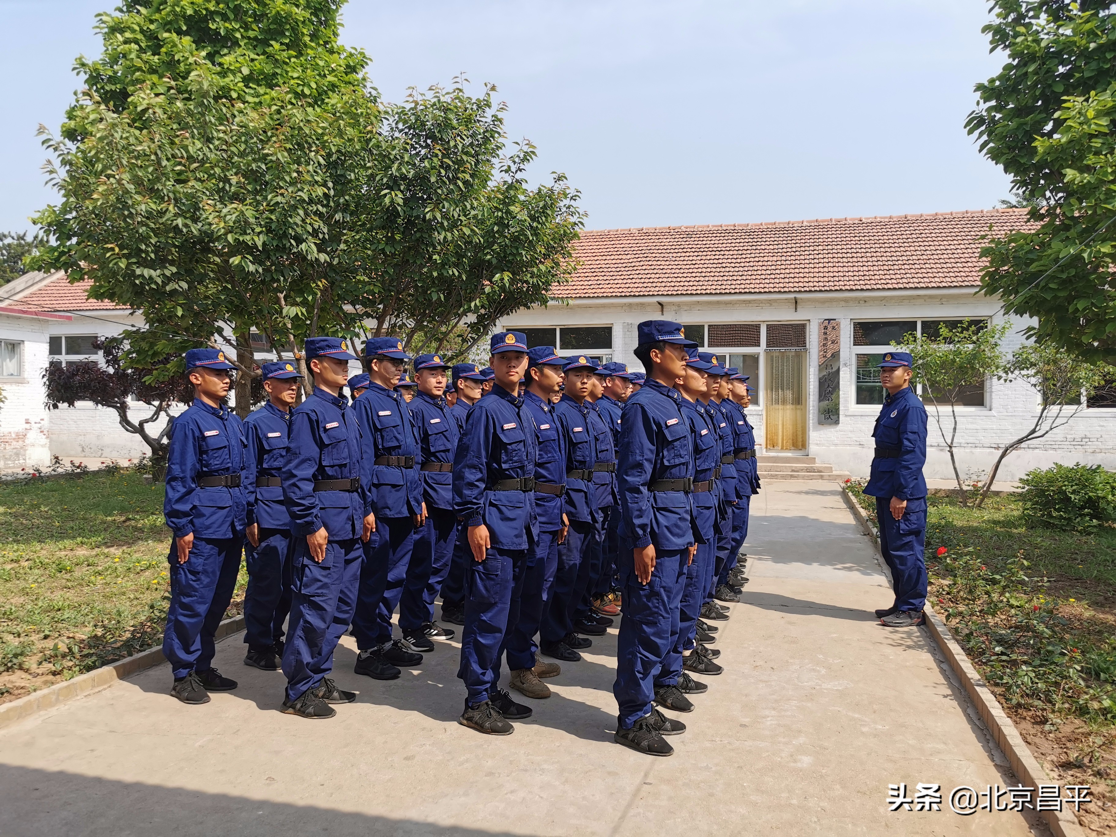 作风建设年丨织牢织密森林防火“安全网”！昌平区应急管理局有实招