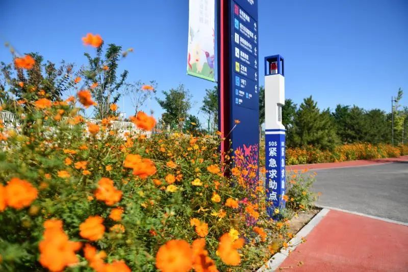 自动感应垃圾桶、AI跑道……温榆河公园朝阳示范区原来这么智能！