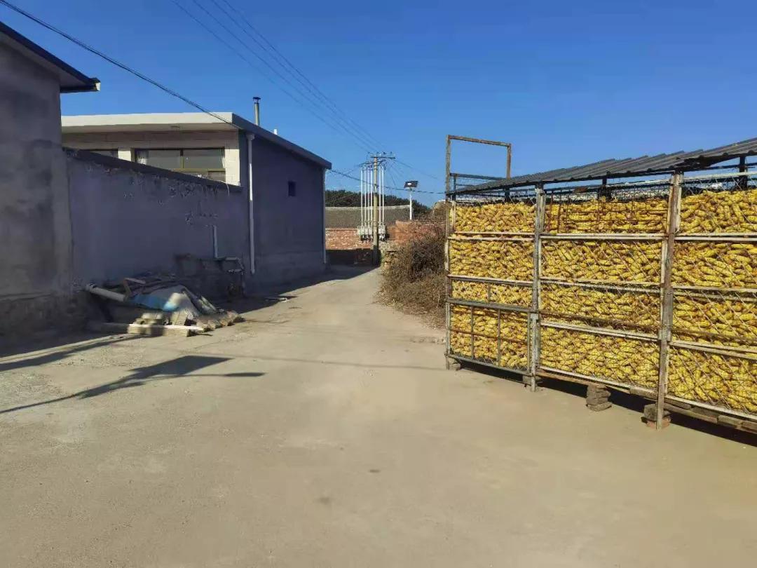 密云区新城子镇扎实推进“接诉即办”工作