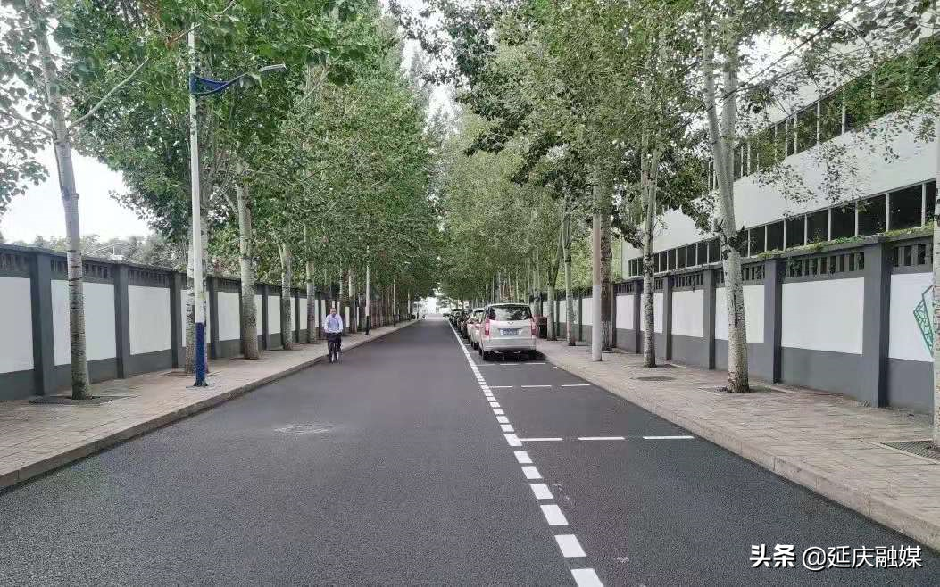 万众一心决战决胜冬奥会 真抓实干推动高质量绿色发展 上半年延庆奋力书写两张优异答卷