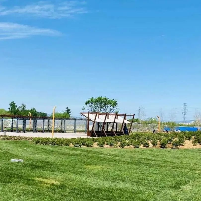 这个蔬艺园，成为推动村庄产业发展的新亮点