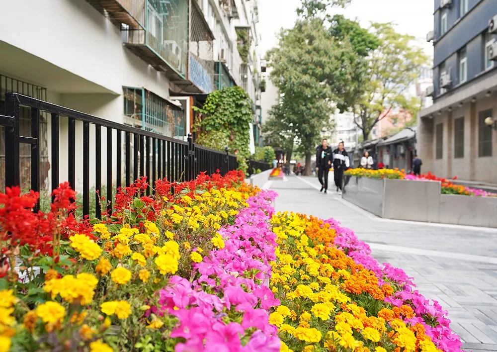 东城：打通交通管理的“任督二脉”