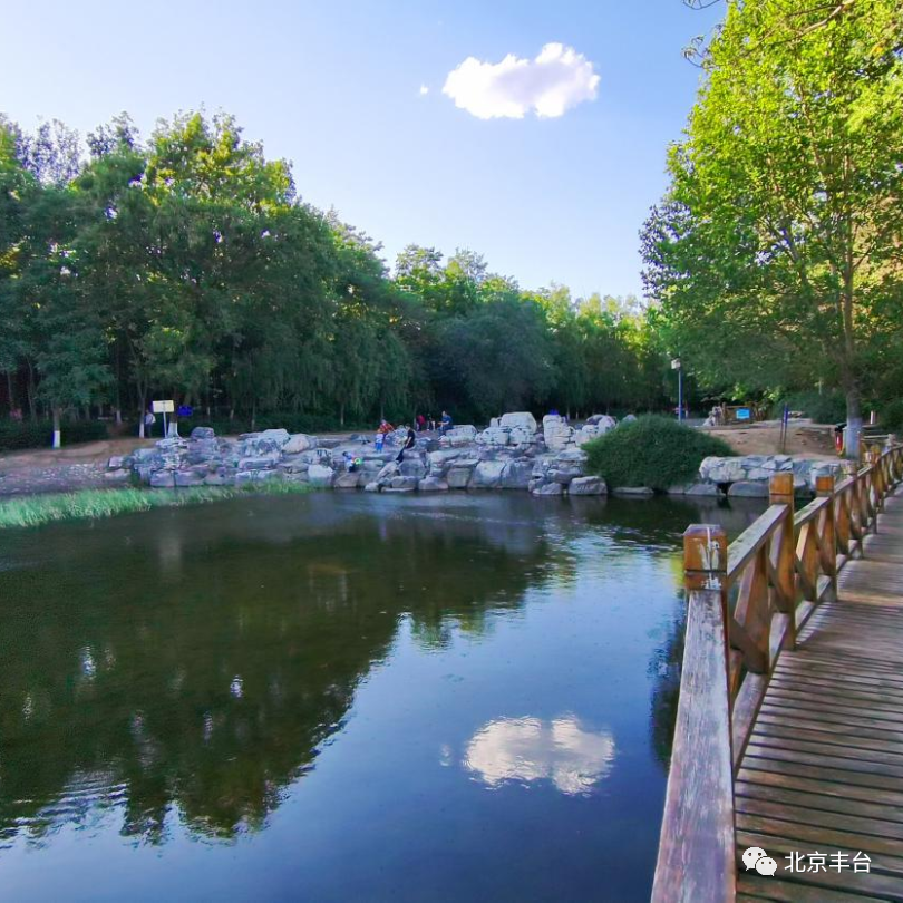 喜报！云岗街道荣获第一届“首都生态文明建设先进集体”称号