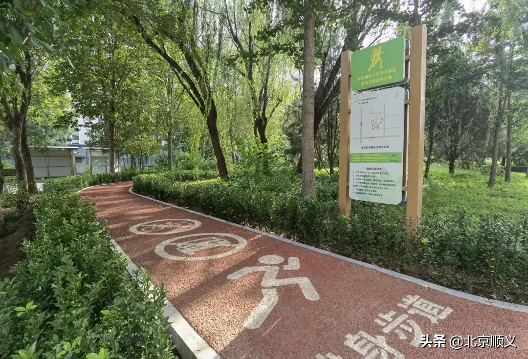 【创城有我】双丰街道不断提升社区景观文化，建设美好宜居家园~