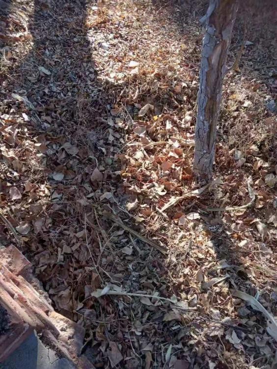 密云区新城子镇全面履行保水责任，完善落实“河长制”