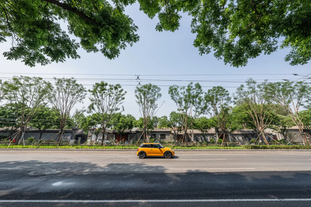 平安大街：绿荫映京韵