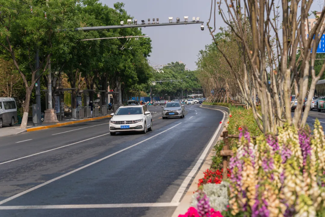 平安大街：绿荫映京韵