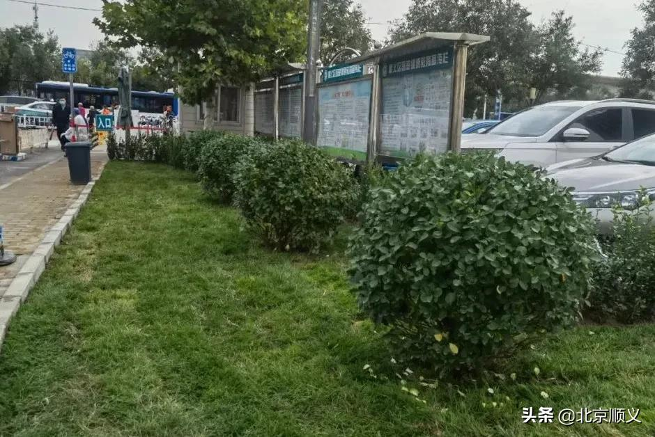 【创城有我】顺义区医院创城用上“绣花”功！