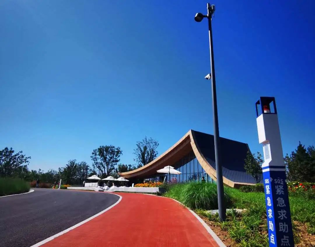 自动感应垃圾桶、AI跑道……温榆河公园朝阳示范区原来这么智能！