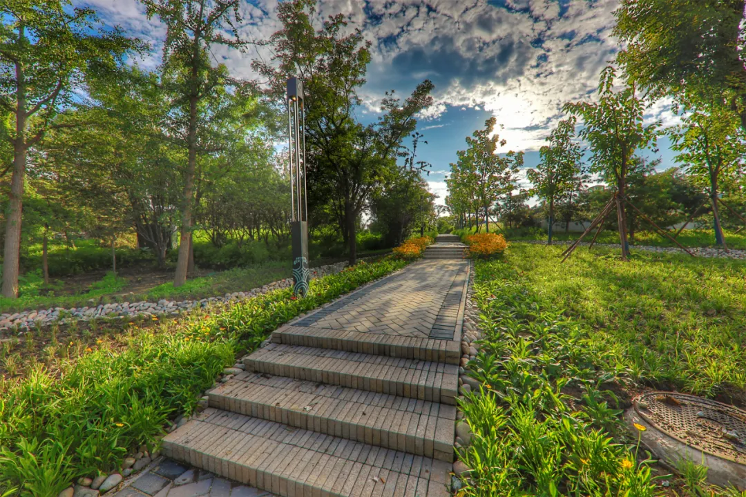 摩天轮回来了！龙潭中湖公园今天开园，免费！