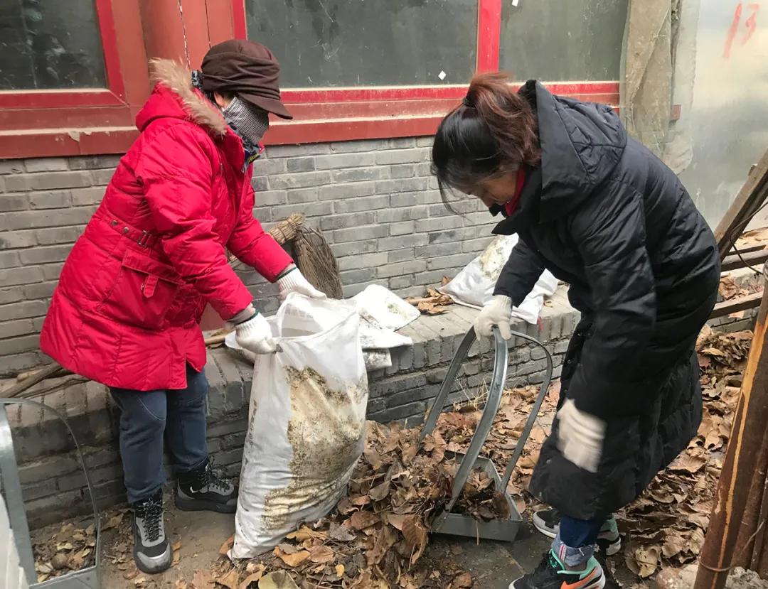 人人参与，行行出力！东城区常态化开展爱国卫生运动