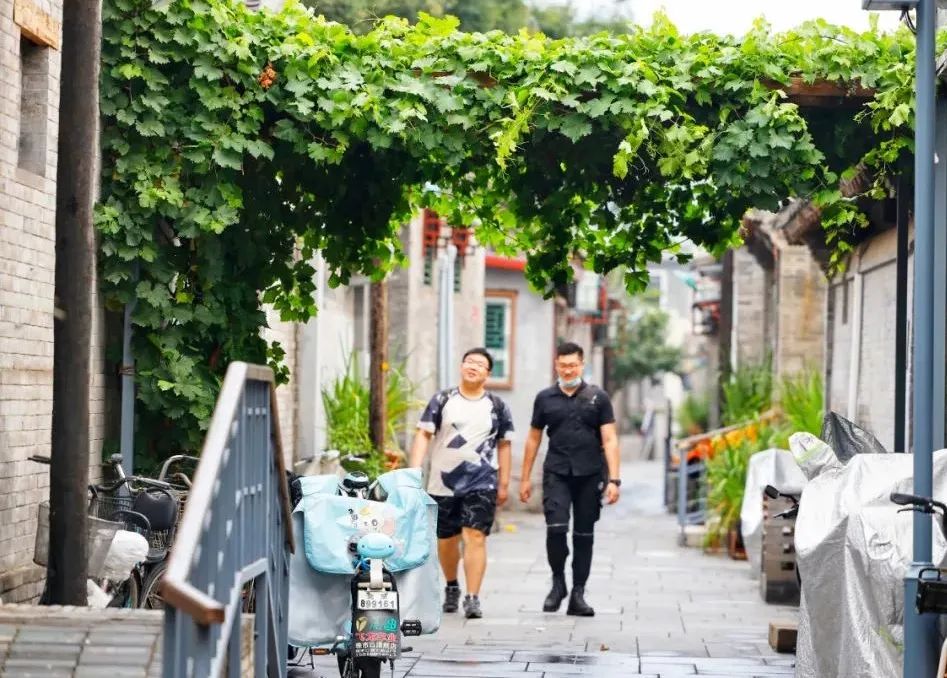 爱我东城 | 京味儿胡同里的“精致”生活