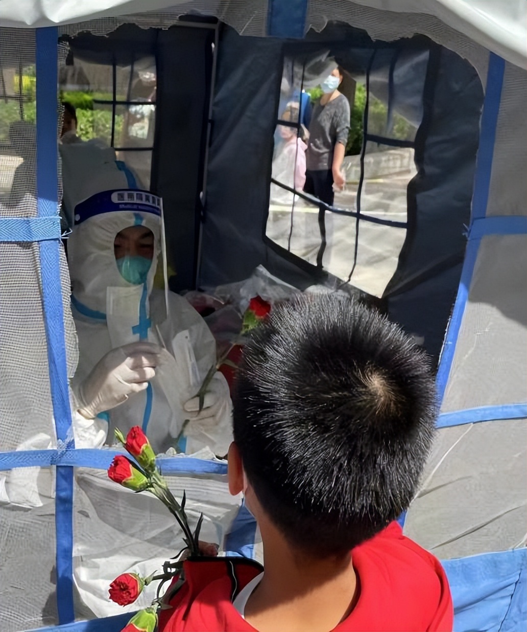 一支康乃馨送给“大白”妈妈