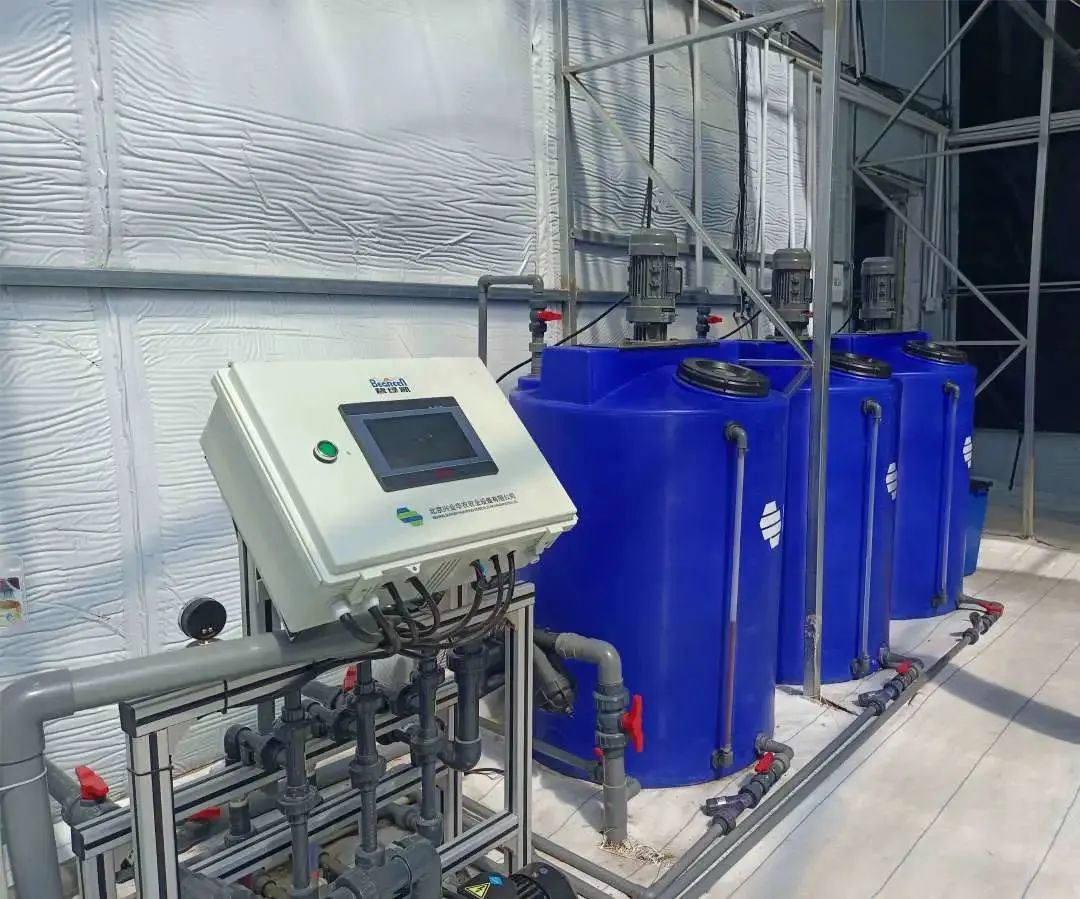 这个蔬艺园，成为推动村庄产业发展的新亮点