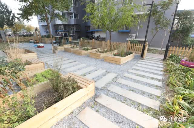 特靠谱、有干劲、有才华……这些词形容咱朝阳群众，很合适！