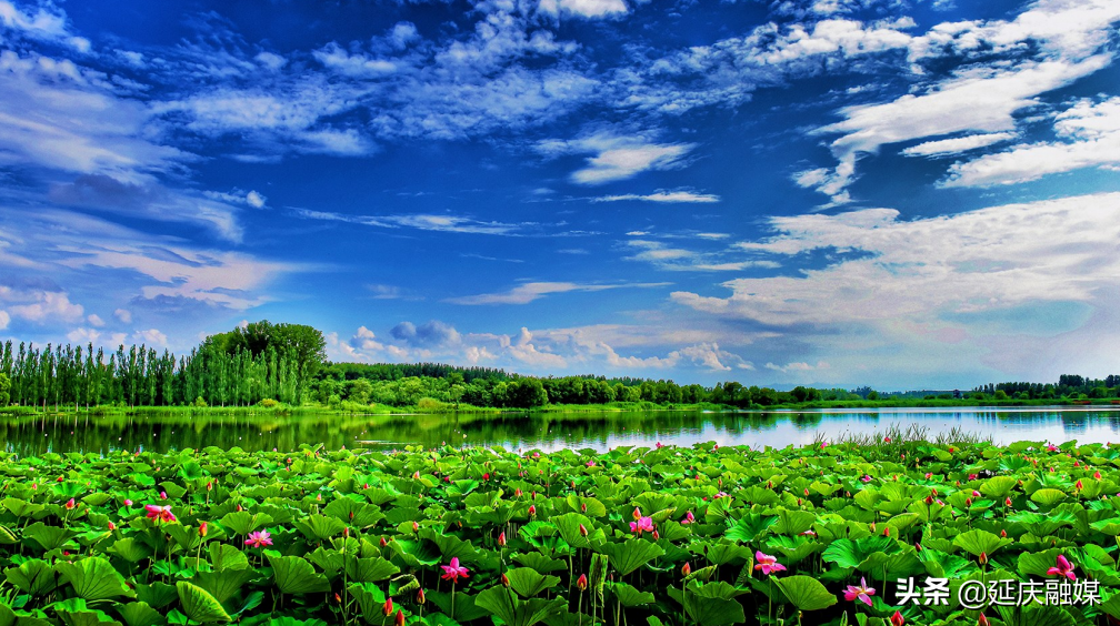 山清水秀阳光媚~延庆赛区用秀美环境面貌喜迎冬奥盛会！