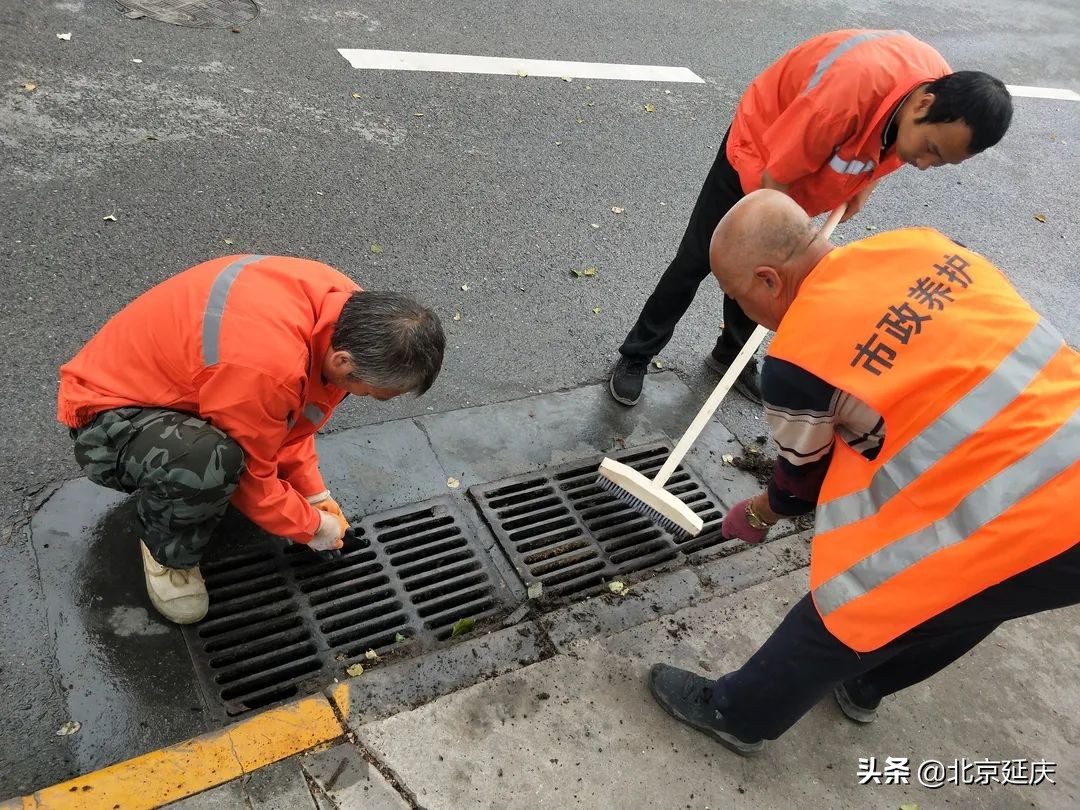 我为群众办实事｜延庆区110条街巷全方位整治提升 打造舒心人居环境