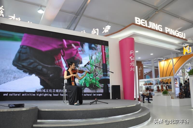 探访“服贸会”平谷展区，遇见最美“网红平谷”