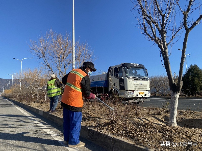 穿“靴子”裹“棉衣”！昌平冬季树木养护工作启动