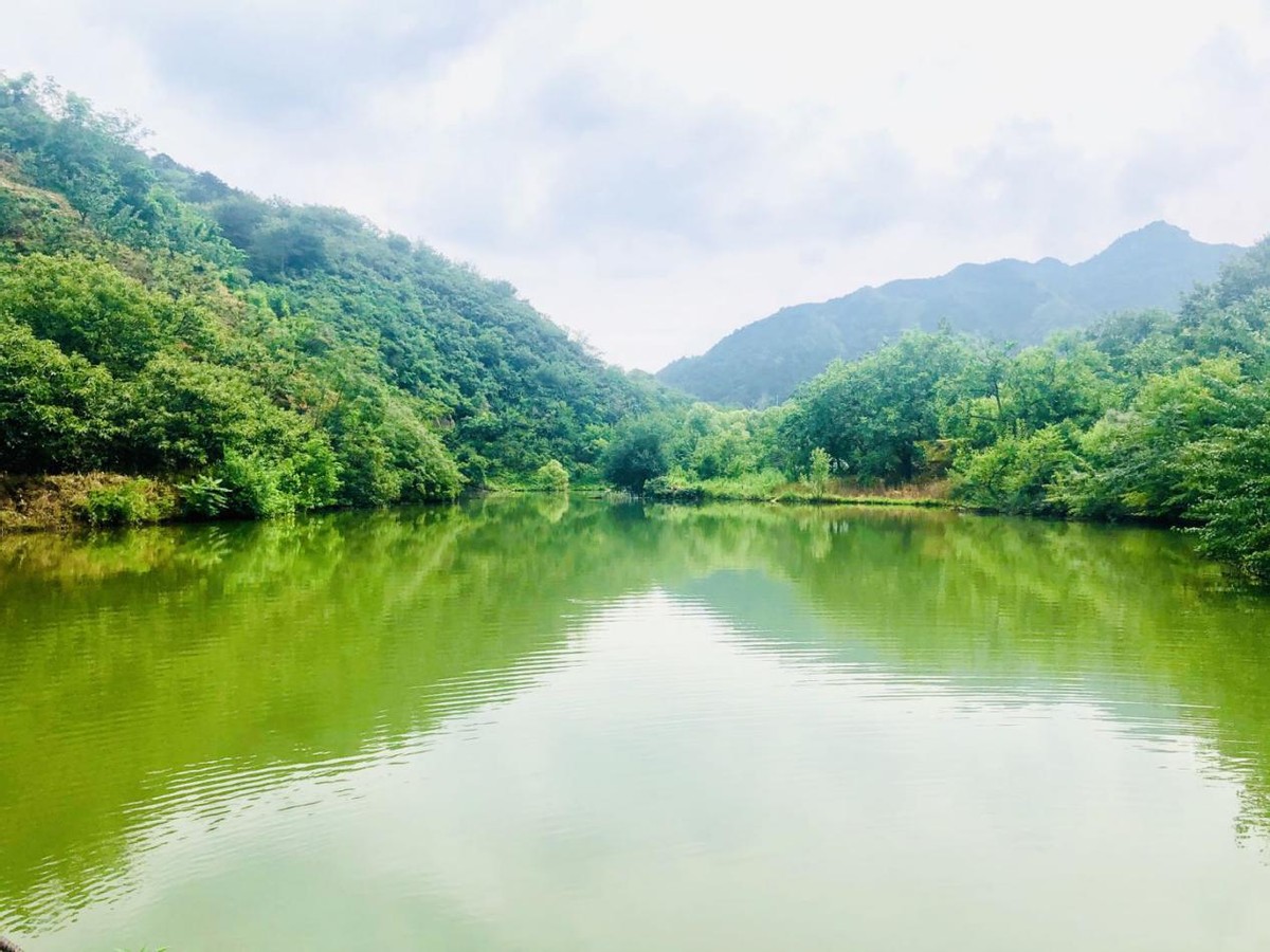 密云区大城子镇深化河长制 盯紧小微水体治理