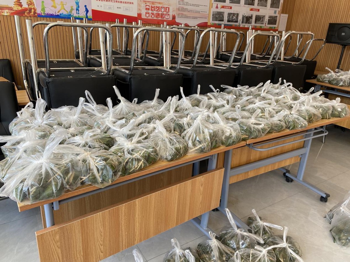 情浓端午节 “粽”享一家亲——新城子镇吉家营村新时代文明实践站开展端午文化活动