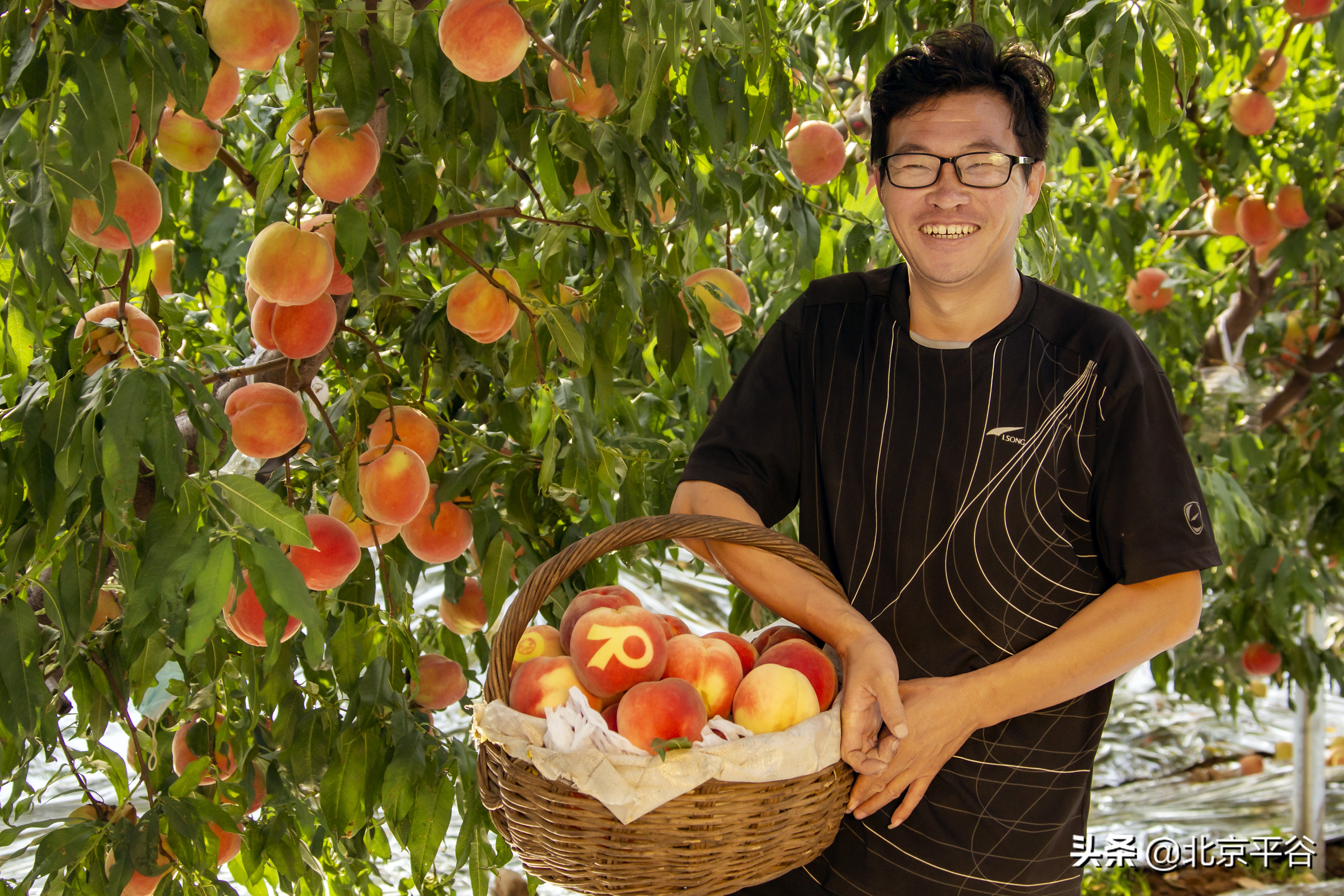 平谷乡亲为国奉礼