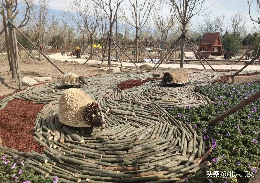 五月迎客！温榆河公园顺义一期即将开园~