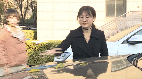 弘扬社会主义核心价值观 · 法治丨该装就装 见“桩”回避可不行