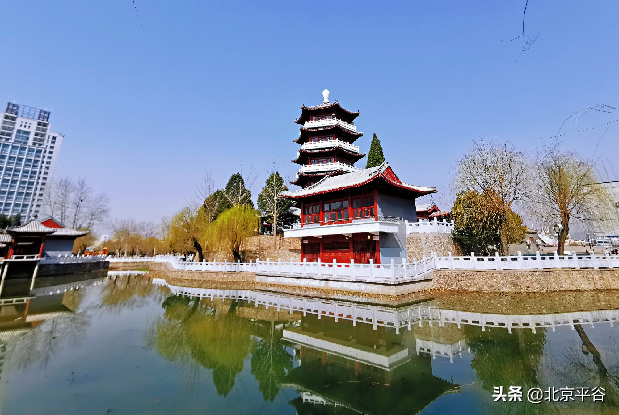 口罩遮住你的脸，却遮不住寻找平谷春天的眼