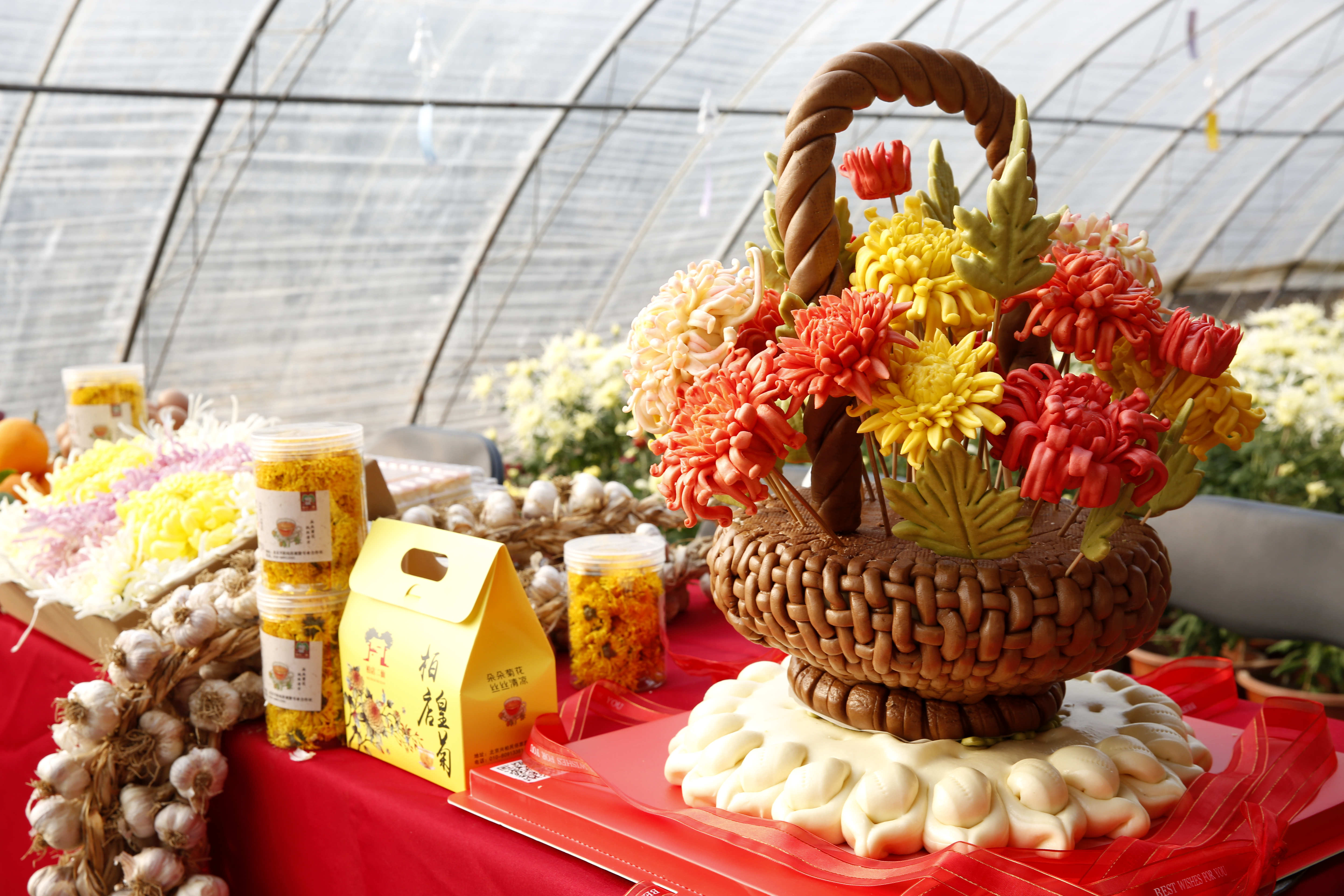 平谷区大兴庄镇迎来菊花季 300余亩食用菊花陆续上市