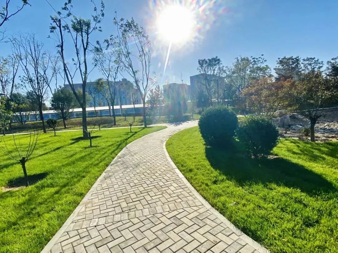 点开，带你看朝阳这五年