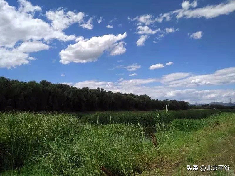 北京平谷有了“一微克蓝”