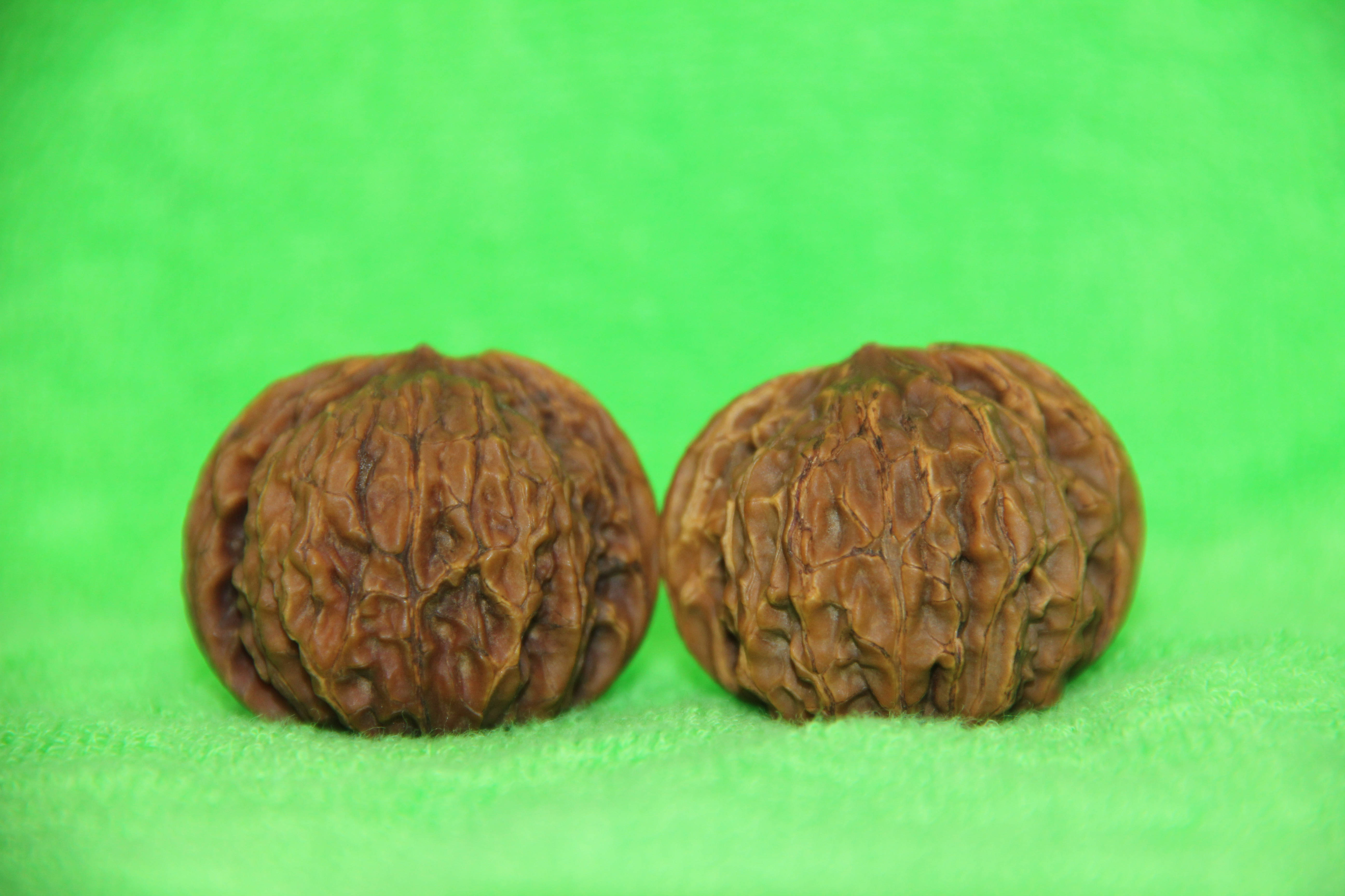 平谷区举办第五届“四座楼”文玩核桃品鉴季