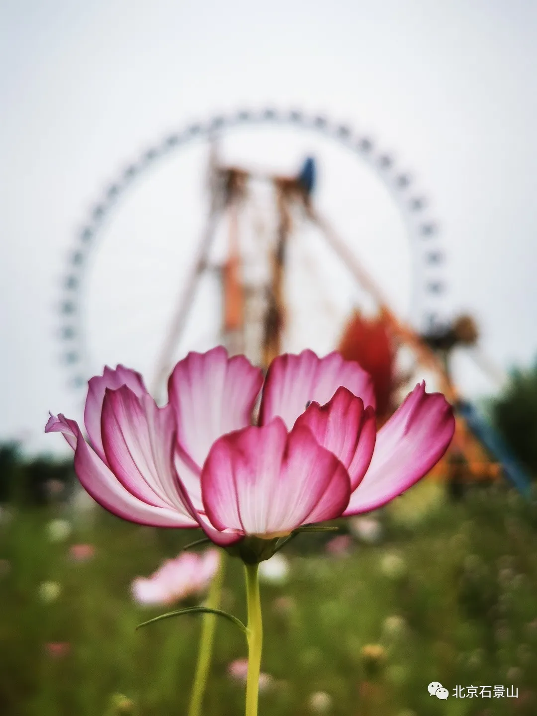 闻老街坊心声 ｜这五年，我的家乡发生了这些变化