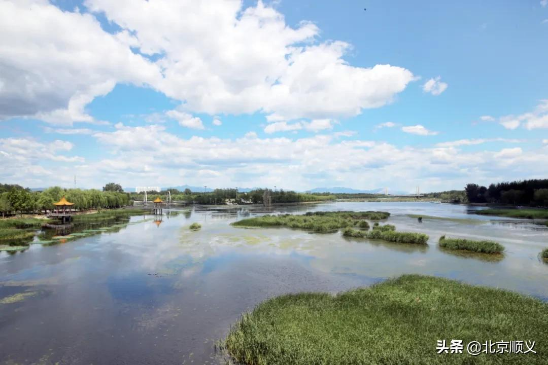 【创城有我】创城画卷，城优景美~