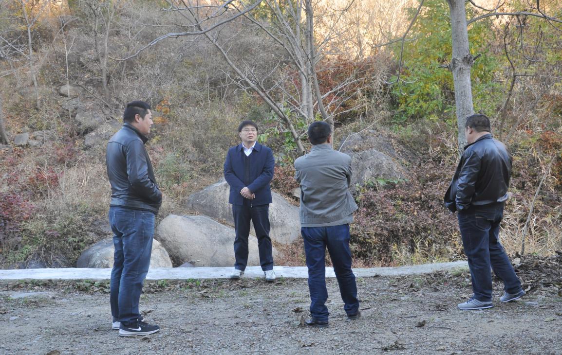 新城子镇扎实开展防火安全检查工作