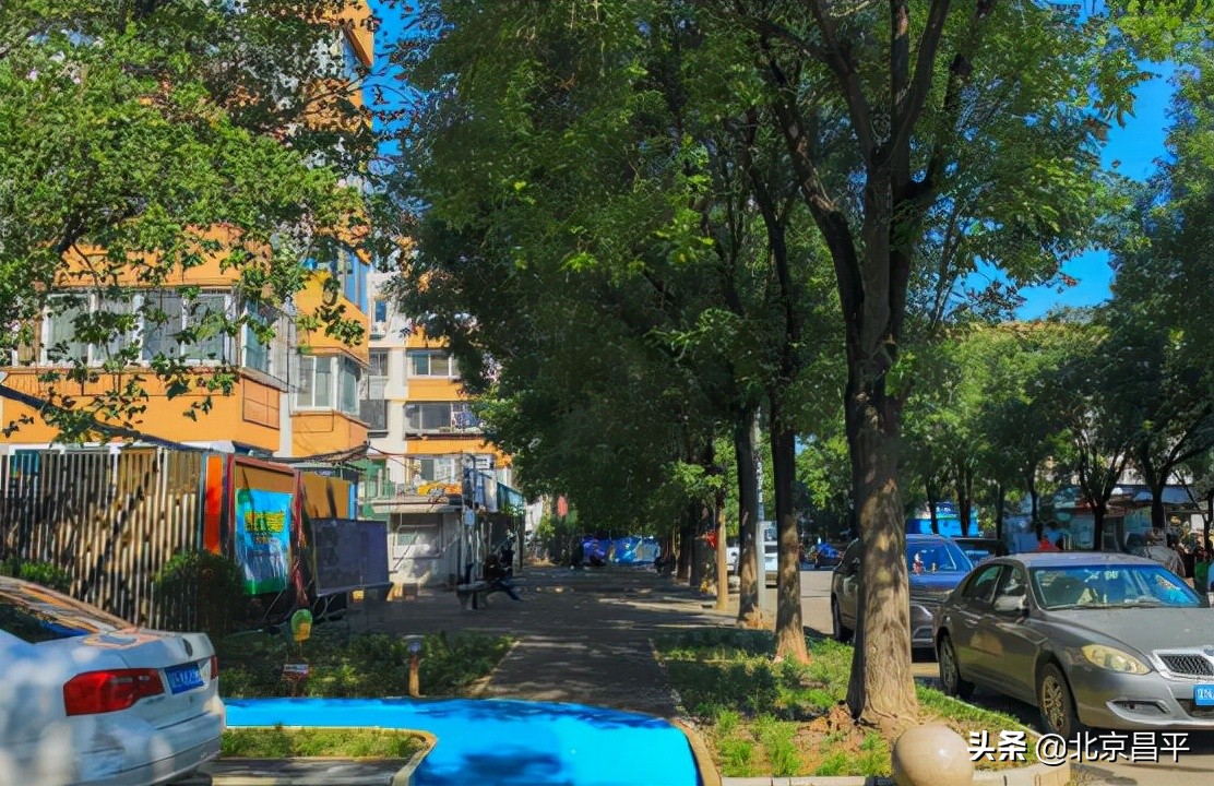 提升居民幸福指数！城南街道开启“昌盛模式”