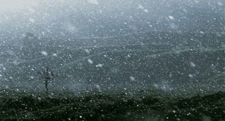 风雪中，延庆乡亲暖心守护！