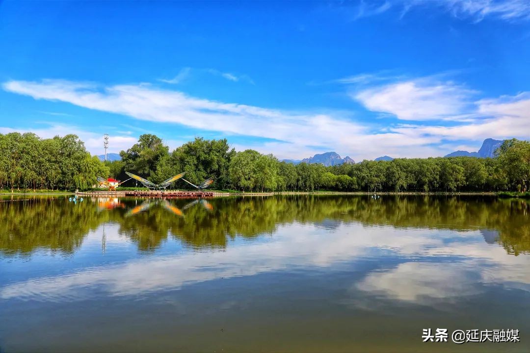 抬头看天！延庆这波蓝天白云有木有美到你！