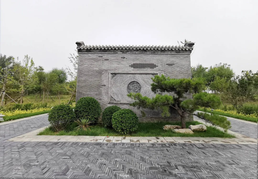 就在明天！衙门口城市森林公园正式开园！又多一个好去处~